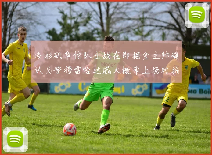 洛杉矶华佗队出战在即掘金主帅确认戈登穆雷哈达威大概率上场对抗湖人